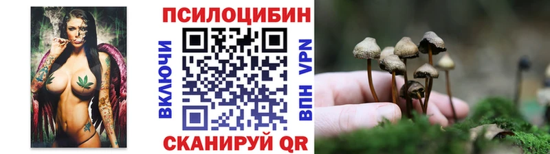 купить закладку  Нижнеудинск  Галлюциногенные грибы Cubensis 
