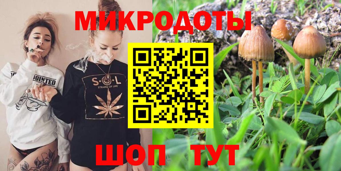 Галлюциногенные грибы прущие грибы Нижнеудинск